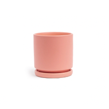 Gemstone 6.5” Cylinder Flower Pots With Water Saucers